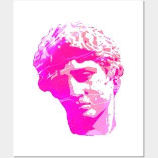 Marble Head (Pink) Posters and Art